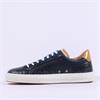 Ambitious Anopolis Laced Casual Trainer - Navy Tan